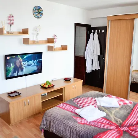 Apartament Adrian Grivita