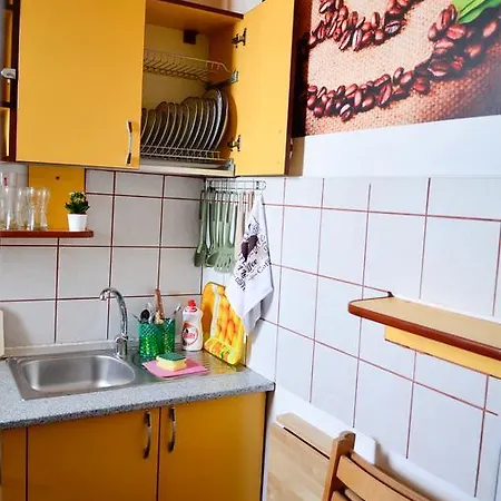 Apartament Adrian Grivita 아파트